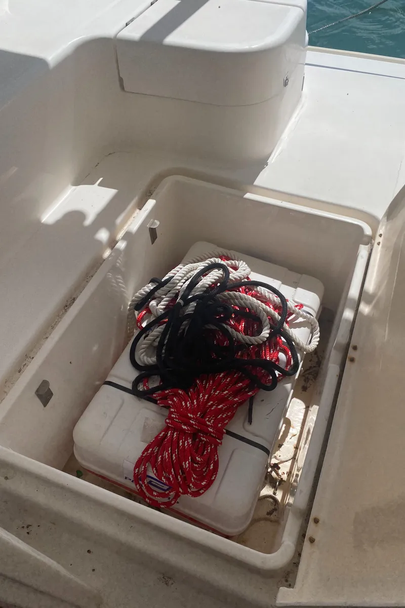 Slide: The Image of Leopard 38 2003 - 60