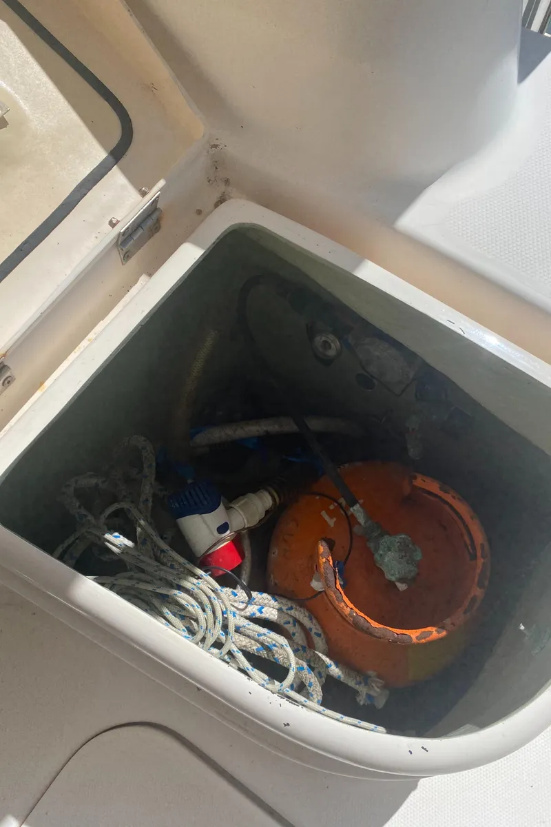 Slide: The Image of Leopard 38 2003 - 61