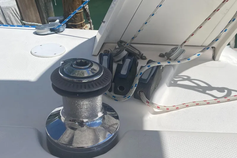 Slide: The Image of Leopard 38 2003 - 62