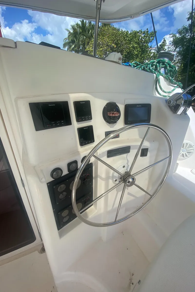 Slide: The Image of Leopard 38 2003 - 66