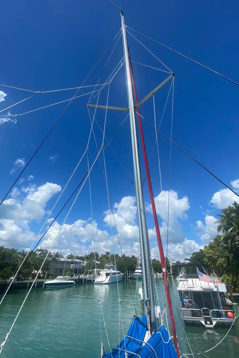 Slide: The Image of Leopard 38 2003 - 77