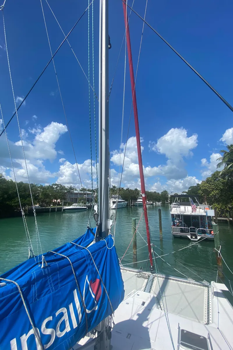 Slide: The Image of Leopard 38 2003 - 78