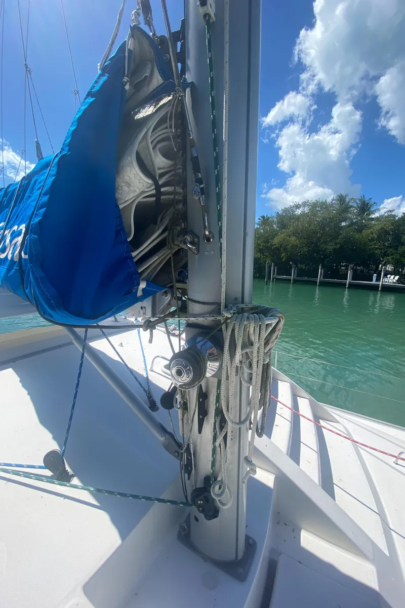 Slide: The Image of Leopard 38 2003 - 79