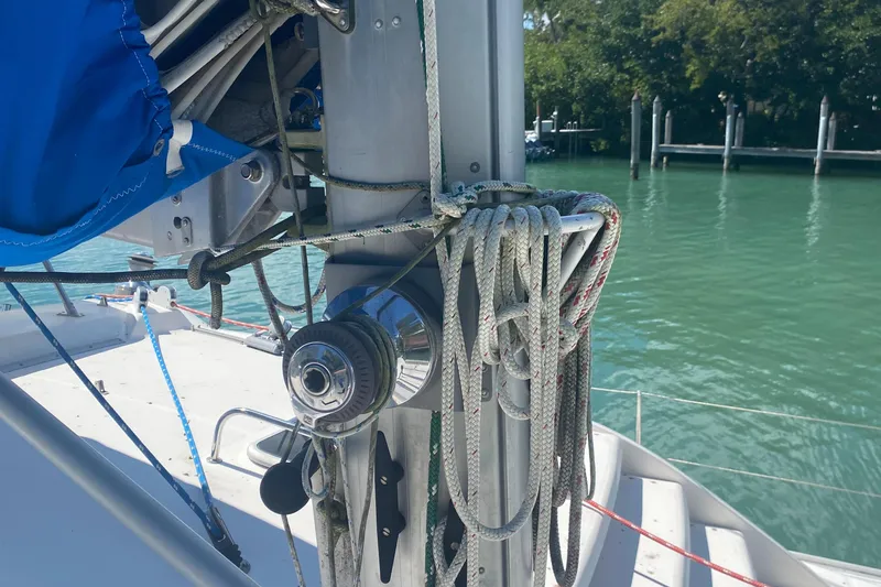 Slide: The Image of Leopard 38 2003 - 80