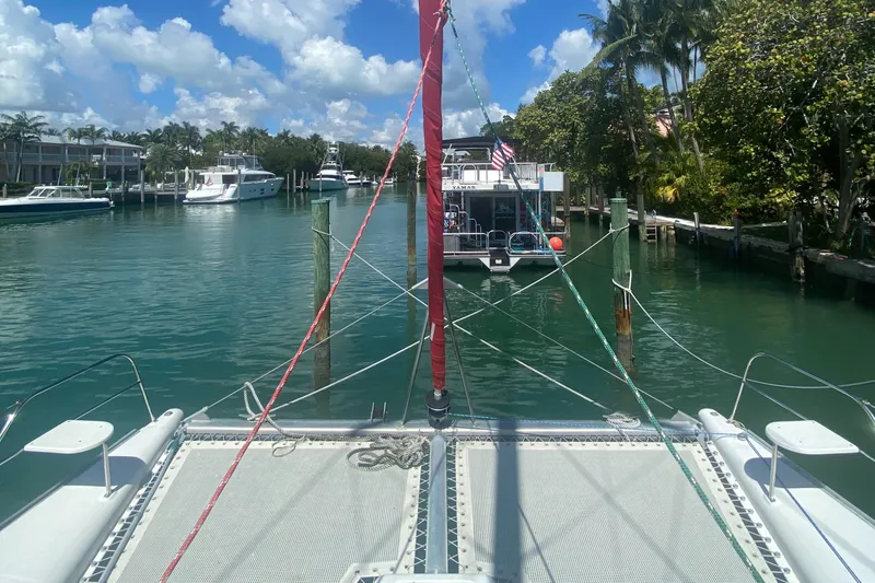 Slide: The Image of Leopard 38 2003 - 81