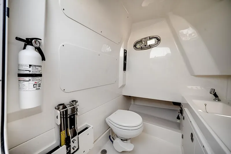 Slide: The Image of Head - 27