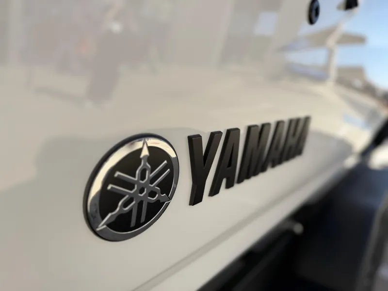 Slide: The Image of 2025 Yamaha AR250 boat logo and emblem close-up. - 14