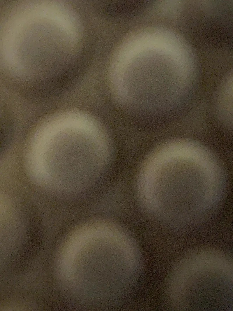 Slide: The Image of Blurry abstract circles pattern, possibly a close-up texture. Chaparral 267 SSX, 2025 model. - 11