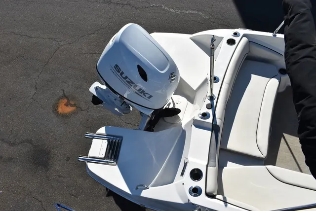 Slide: The Image of Stingray 191DC 2024 - 14