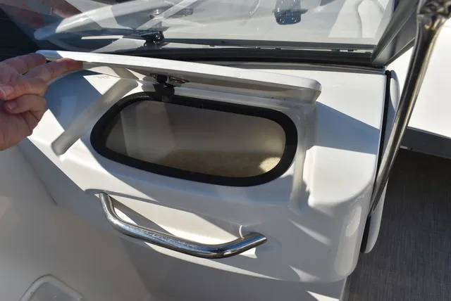 Slide: The Image of Stingray 191DC 2024 - 29