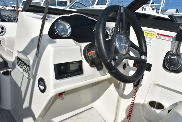 Slide: The Image of Stingray 191DC 2024 - 35