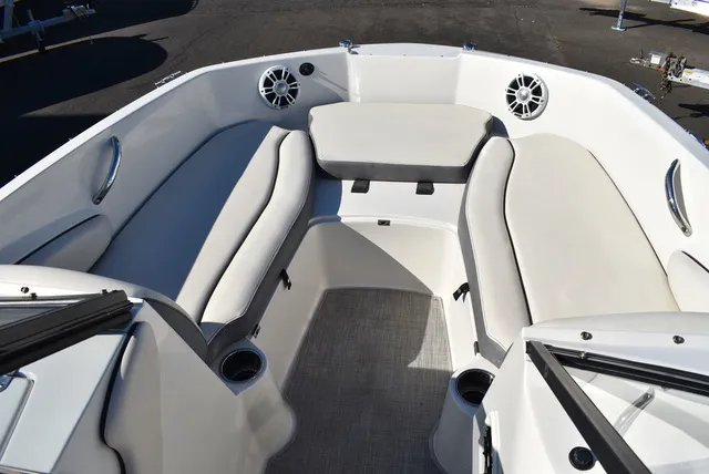 Slide: The Image of Stingray 191DC 2024 - 39
