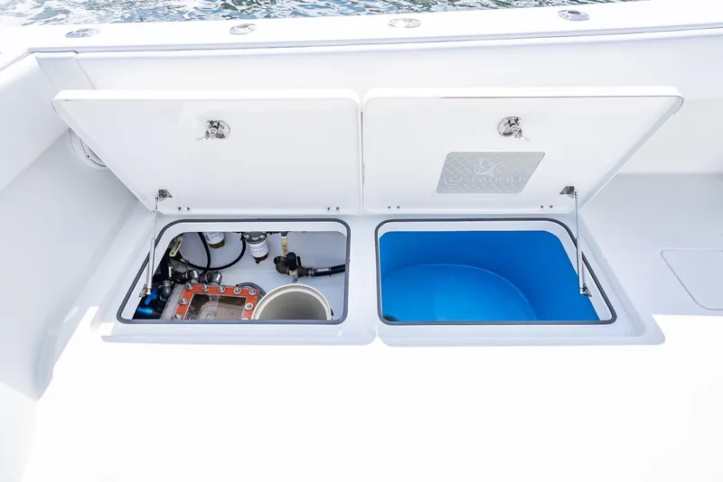 Slide: The Image of Freeman 42 2017 - 71