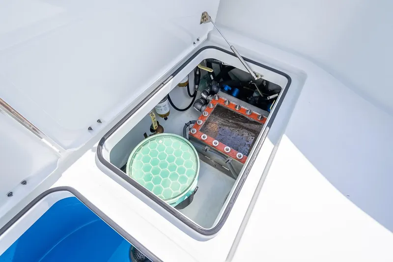 Slide: The Image of Freeman 42 2017 - 72