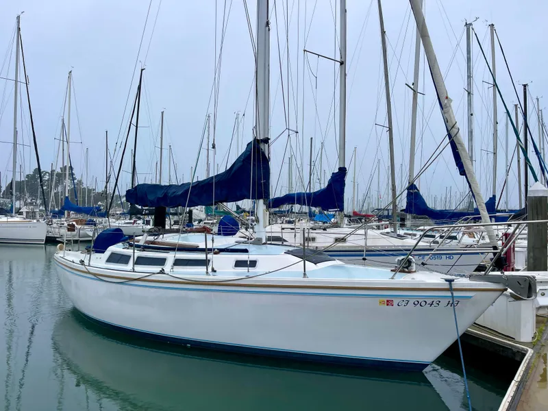 The Image of 1984 Catalina 30 sailboat docked in a marina, surrounded by other boats. - 0