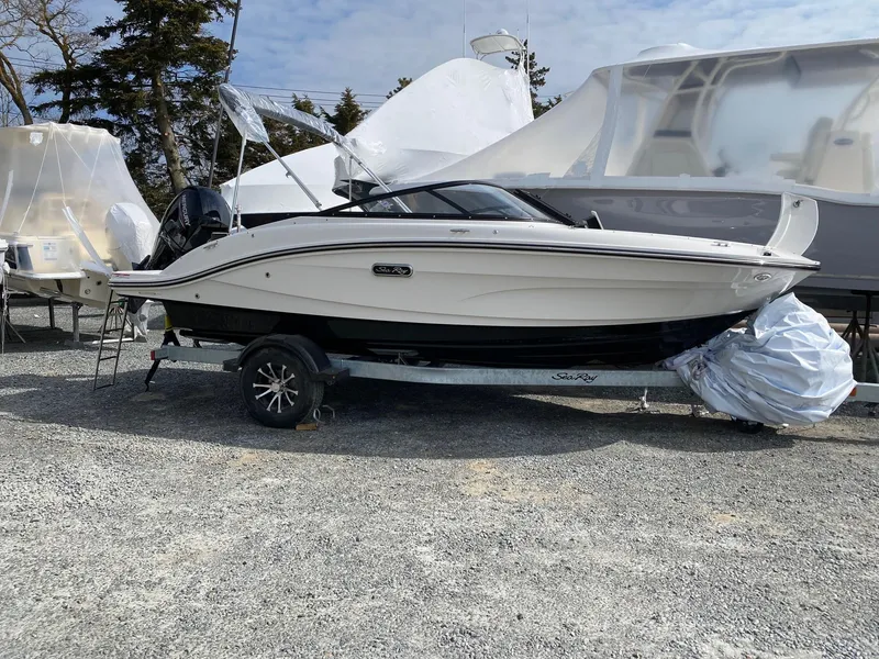 The Image of Sea Ray SPX 190 Outboard 2025 - 0