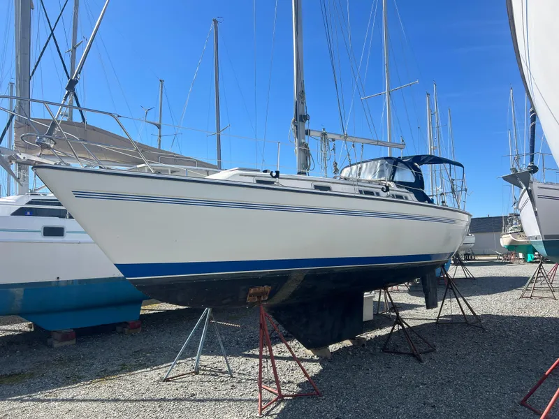 Slide: The Image of Pearson 303 1986 - 2