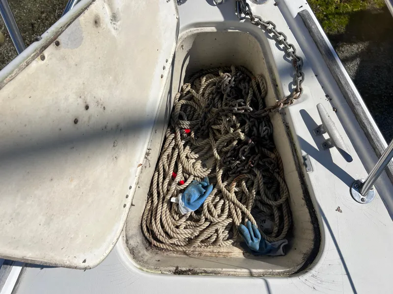 Slide: The Image of Pearson 303 1986 - 51