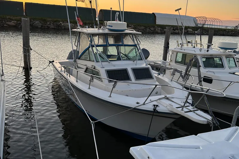 The Image of 1988 Grady-White 255 Sailfish Walkaround boat docked at sunset. - 1
