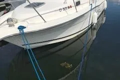 Slide: The Image of 1999 Robalo 2440 Walkaround boat docked with blue ropes in calm water. - 2