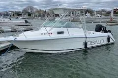Slide: The Image of 1999 Robalo 2440 Walkaround boat docked in a marina. - 8