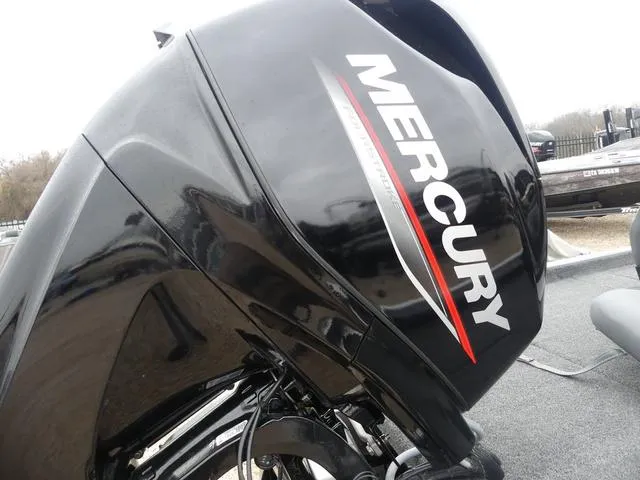 Slide: The Image of Lowe Skorpion 16 2025 - 3