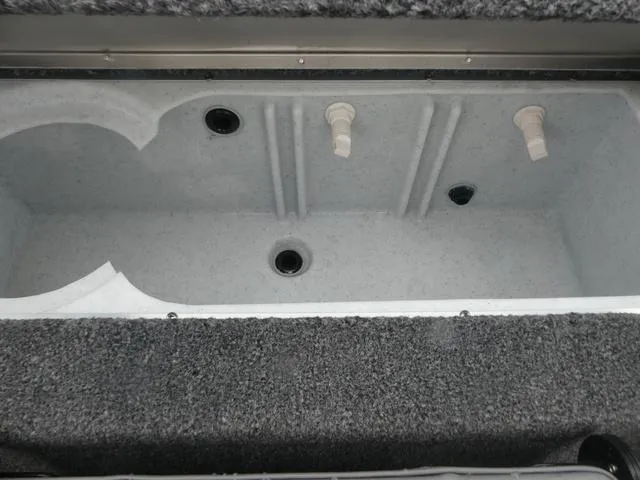 Slide: The Image of Lowe Stinger 175C 2025 - 13