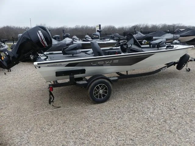 Slide: The Image of Lowe Stinger 175C 2025 - 3