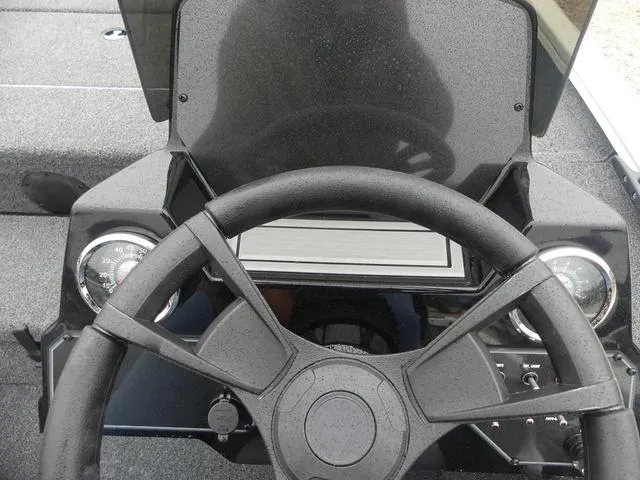 Slide: The Image of Lowe Stinger 175C 2025 - 6