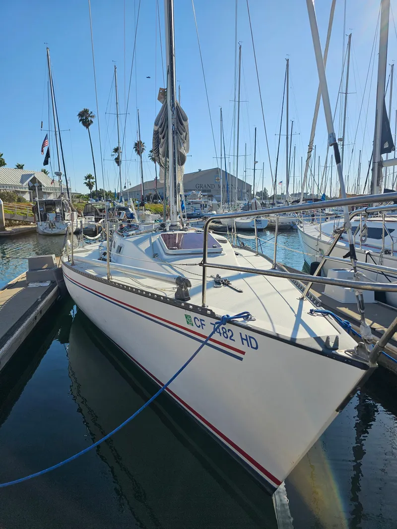 Slide: The Image of Schock NY 36 1984 - 64