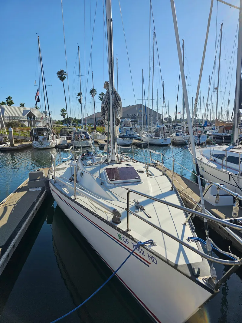 Slide: The Image of Schock NY 36 1984 - 65