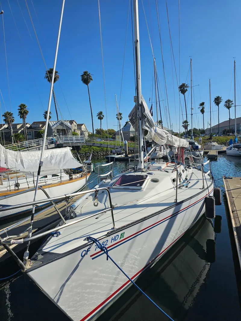 Slide: The Image of Schock NY 36 1984 - 66