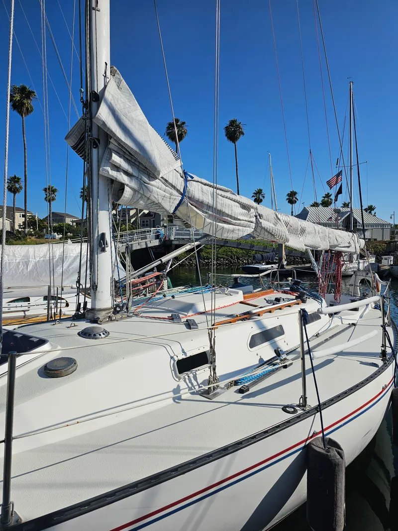 Slide: The Image of Schock NY 36 1984 - 67