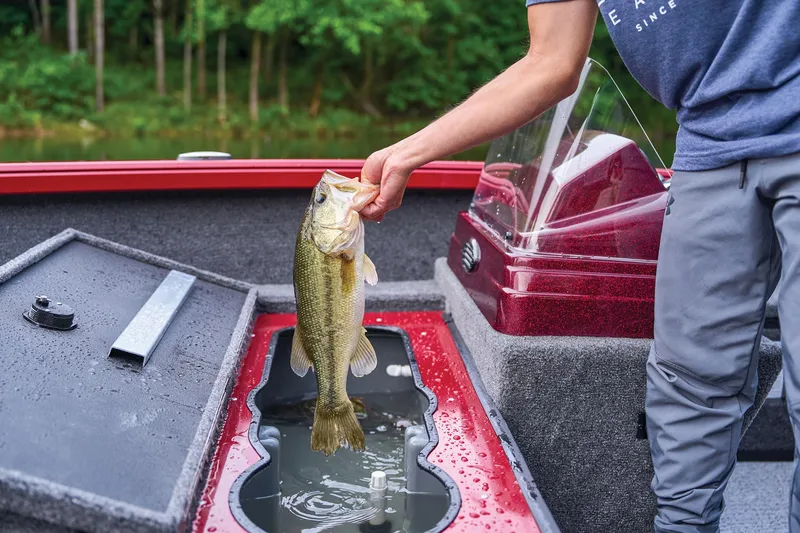 Slide: The Image of Ranger VS1665SC 2025 - 70