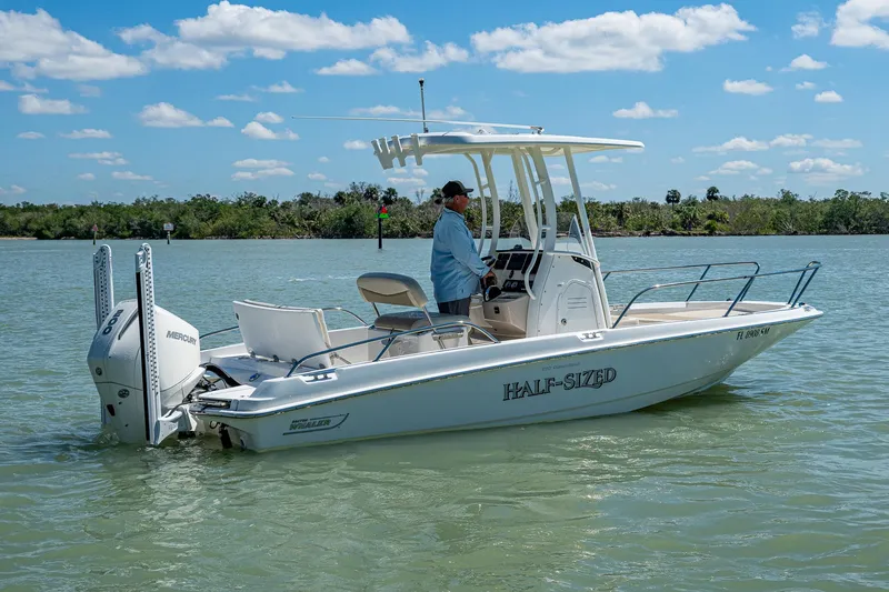 Slide: The Image of 2020 Boston Whaler 210 Dauntless boat on calm water, clear sky background. - 4