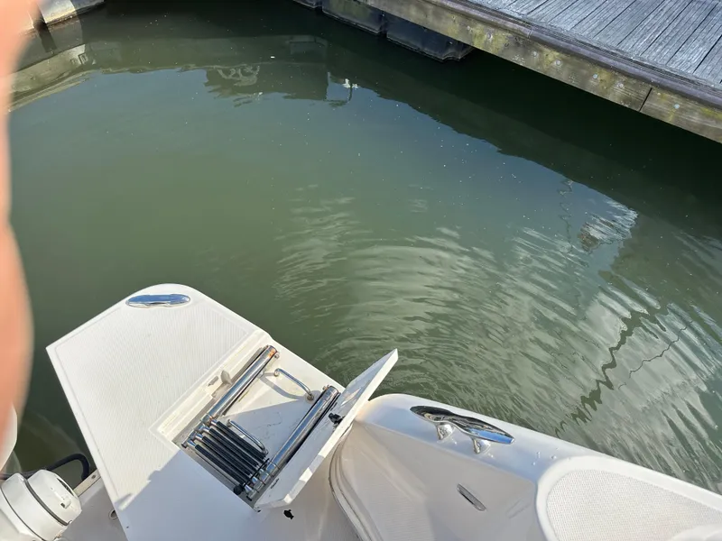 Slide: The Image of 2021 Regal 42 FXO boat with swim platform and ladder by the water. - 14