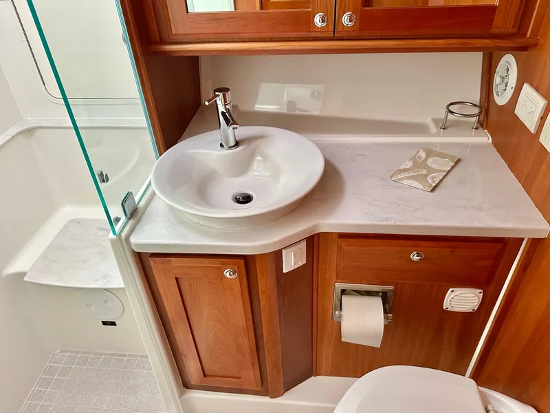 Slide: The Image of Primary Head - 23