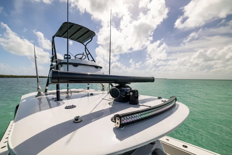 Slide: The Image of Freeman 42LR 2025 - 50