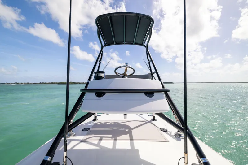 Slide: The Image of Freeman 42LR 2025 - 51