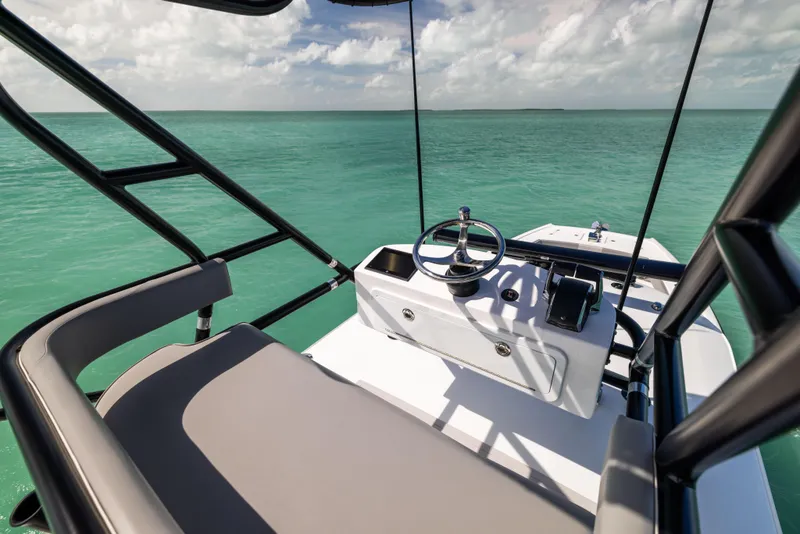 Slide: The Image of Freeman 42LR 2025 - 52