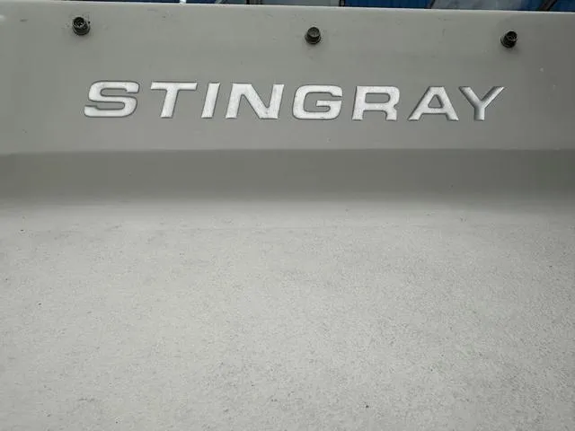 Slide: The Image of 2015 Stingray 191RX boat logo on a gray surface. - 6