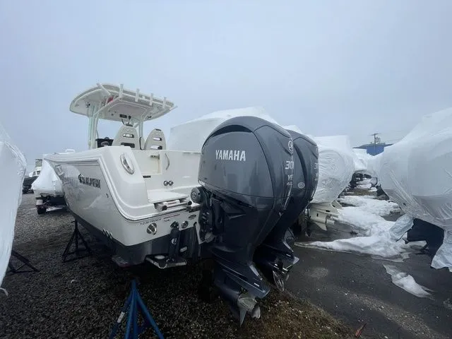 Slide: The Image of Sailfish 290 CC 2023 - 3