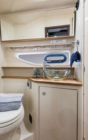 Slide: The Image of Sea Ray Sundancer 350 Coupe 2019 - 15