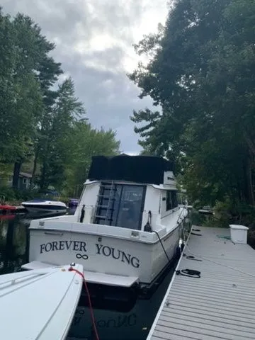 Slide: The Image of Carver 3227 Convertible 1985 - 3