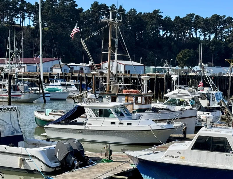 Slide: The Image of 2005 Albin 28 Tournament Express docked in a busy marina with other boats. - 30