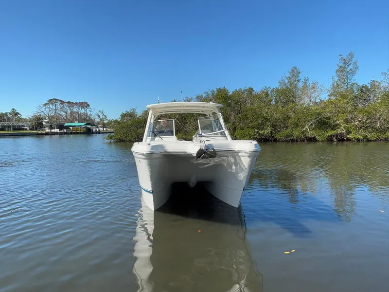 Slide: The Image of 2025 World Cat 296 DC boat on calm water with lush greenery background. - 2