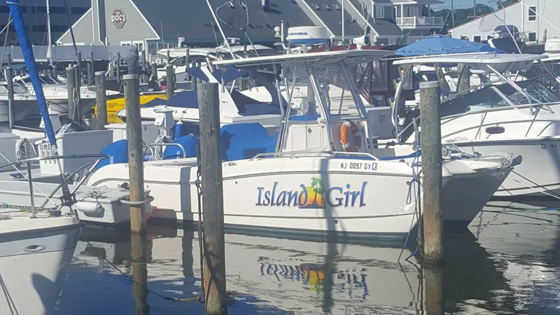 Slide: The Image of World Cat 230 SF 2006 - 2