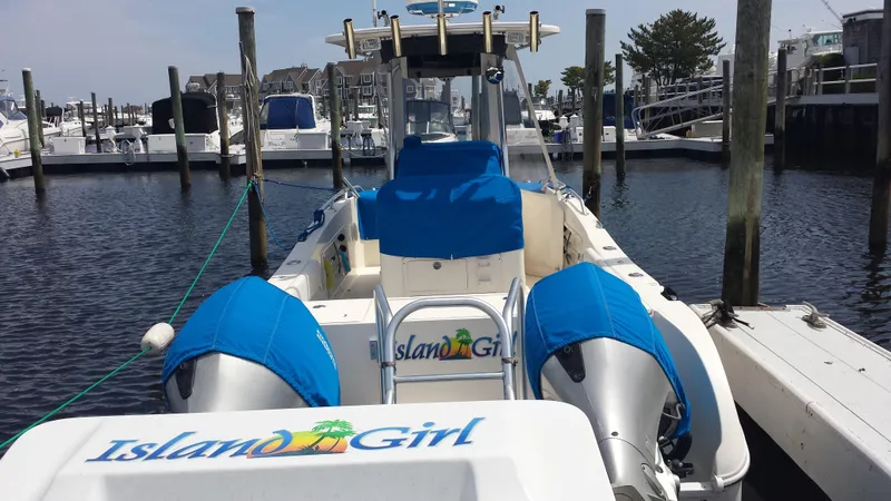 Slide: The Image of World Cat 230 SF 2006 - 8