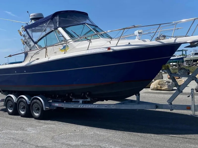 The Image of Pursuit 2860 Denali 1999 - 0