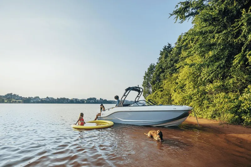Slide: The Image of Bayliner D20I 2025 - 2